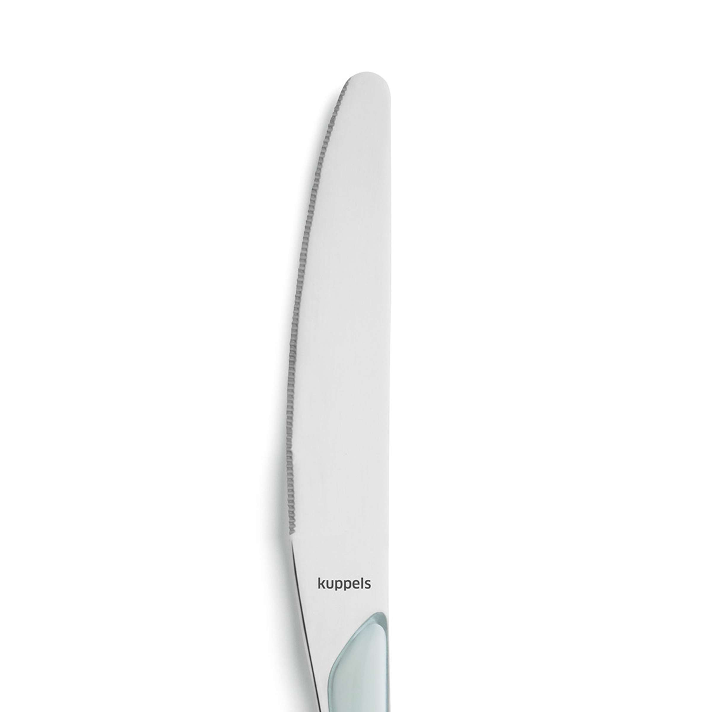 PRISMA Table Knife Full Handle mint
