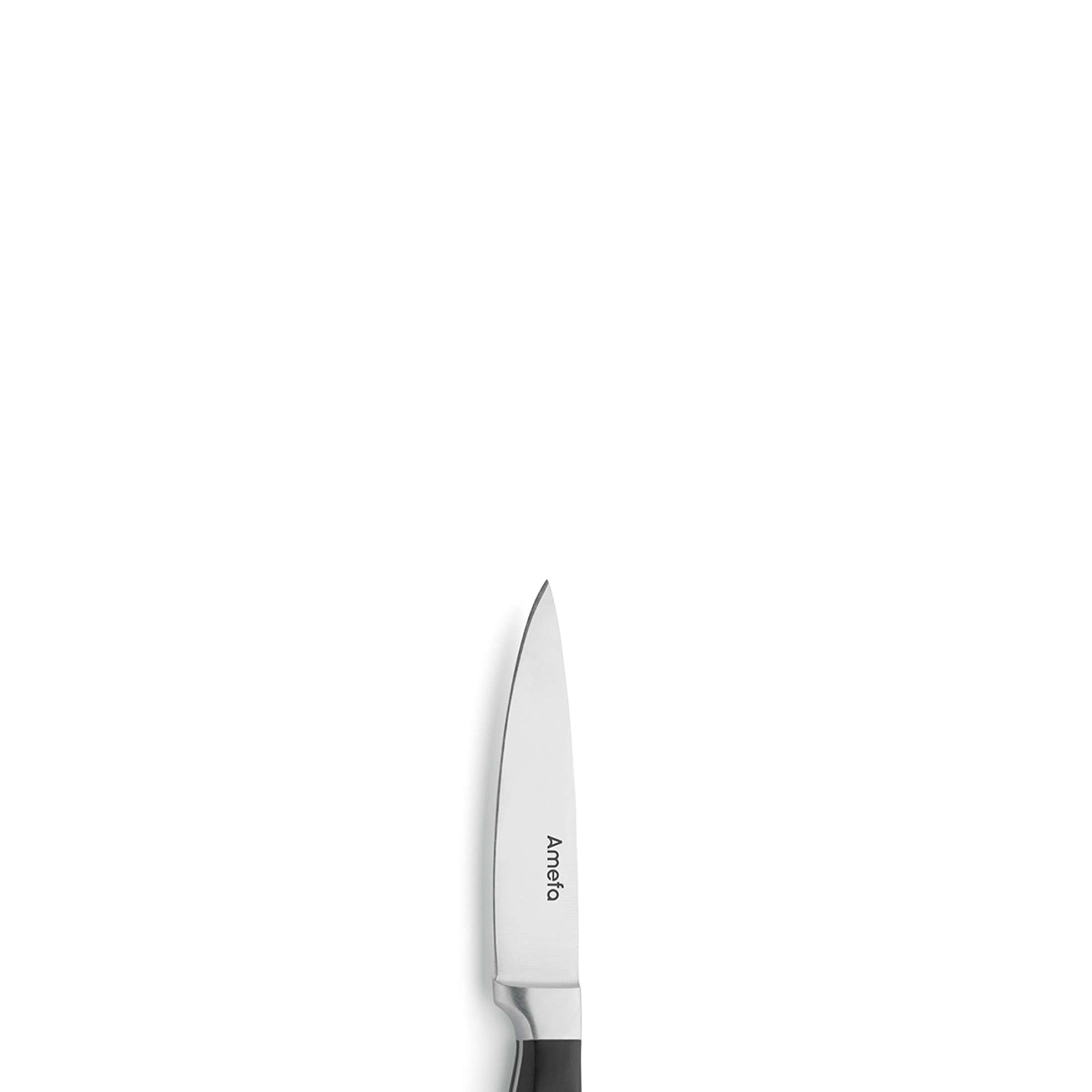 Premium Amefa Küchenmesser, scharfes Spickmesser mit ergonomischem Griff, perfekt zum Schneiden und Zubereiten in der Küche