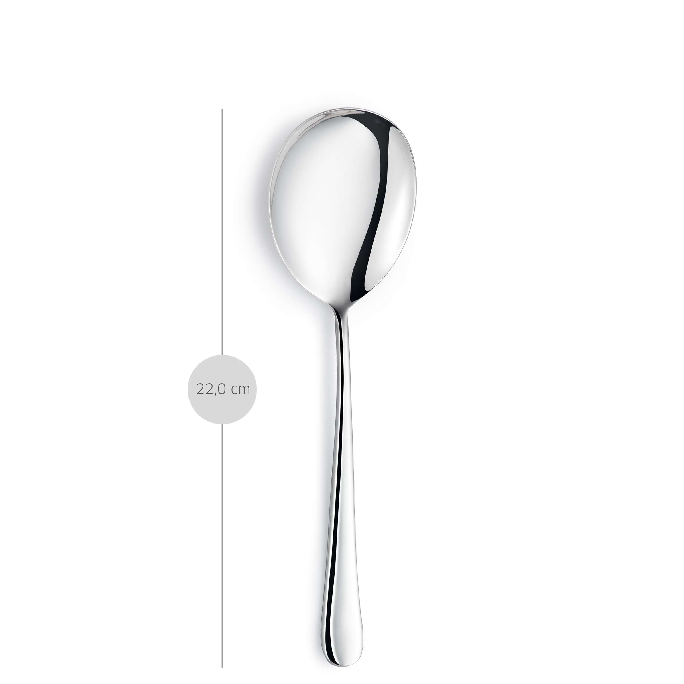 BLUES Salad Spoon