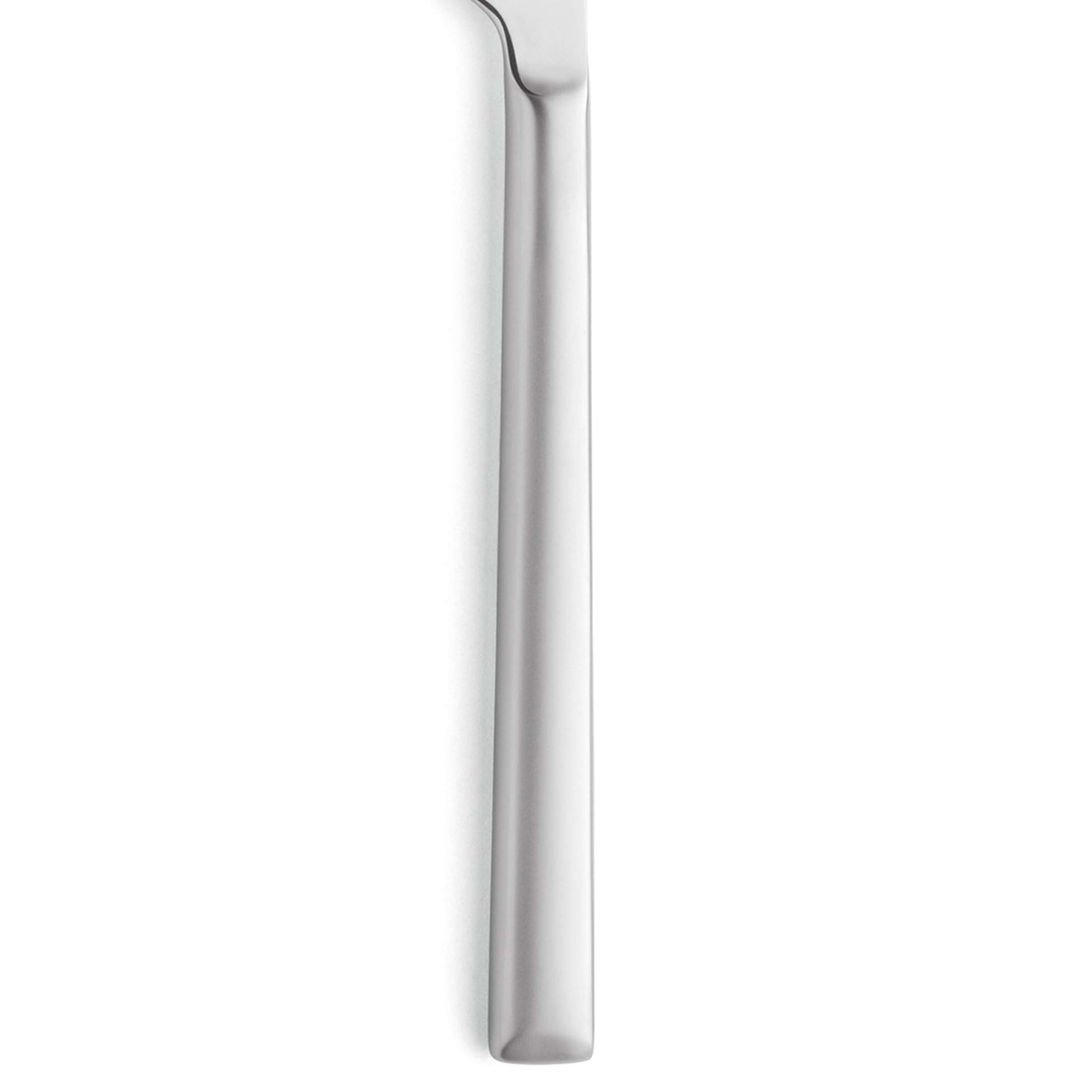 VIVENDI Menümesser von Paul Wirths, Vollheft, mattierte Oberfläche, elegantes Messer für die Tischdekoration.