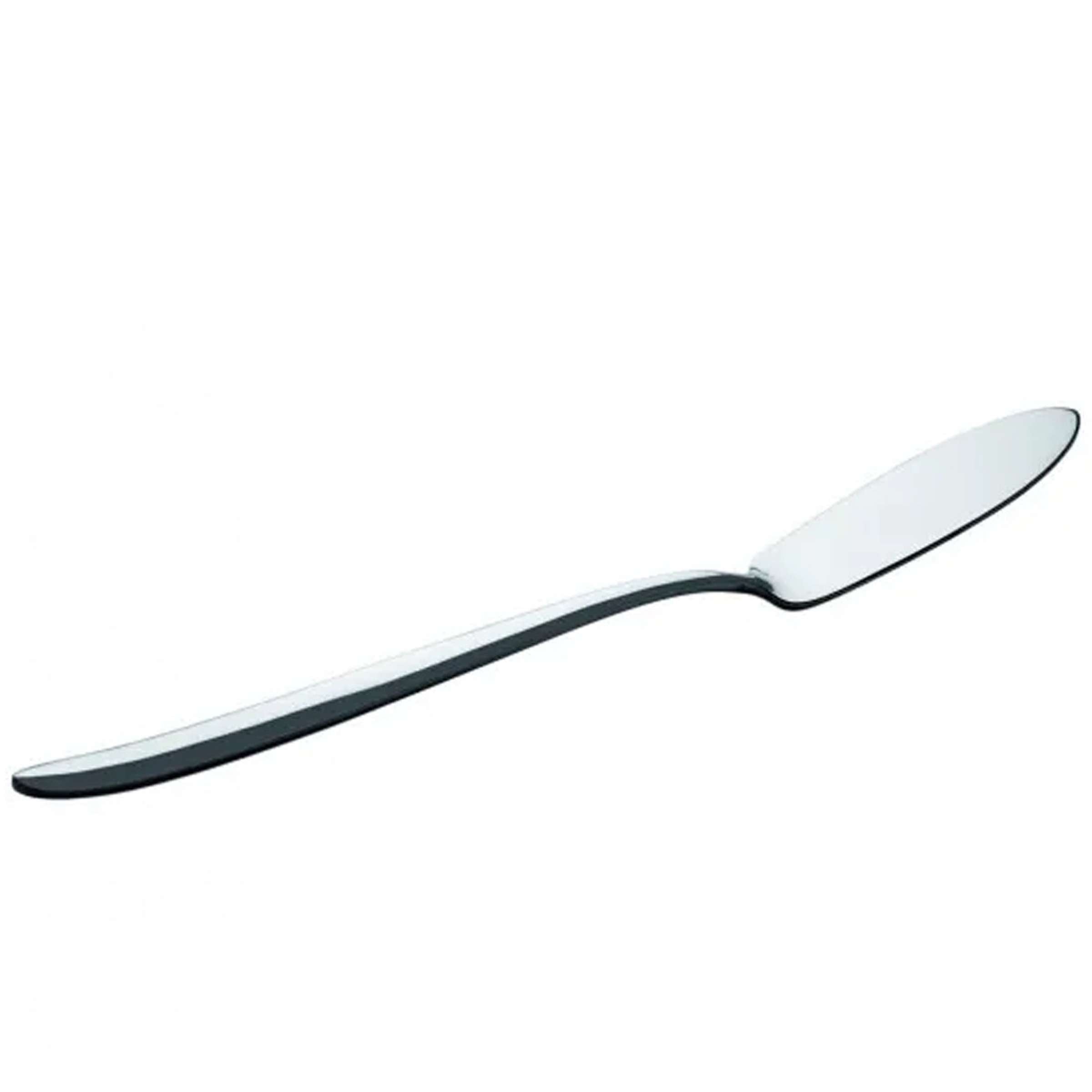 Römisches Fischmesser von Paul Wirths, scharfes Küchenmesser mit Edelstahlklinge für Fischzubereitung, Nahaufnahme.