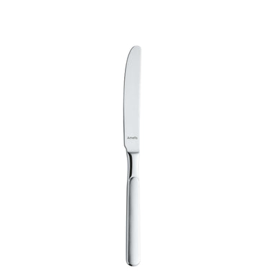 SATINA Besteckset 60-teilig von Amefa, mattiertes Messer, Gabel, Löffel und Teelöffel, übersichtliche Anordnung, elegante Küchenaccessoires