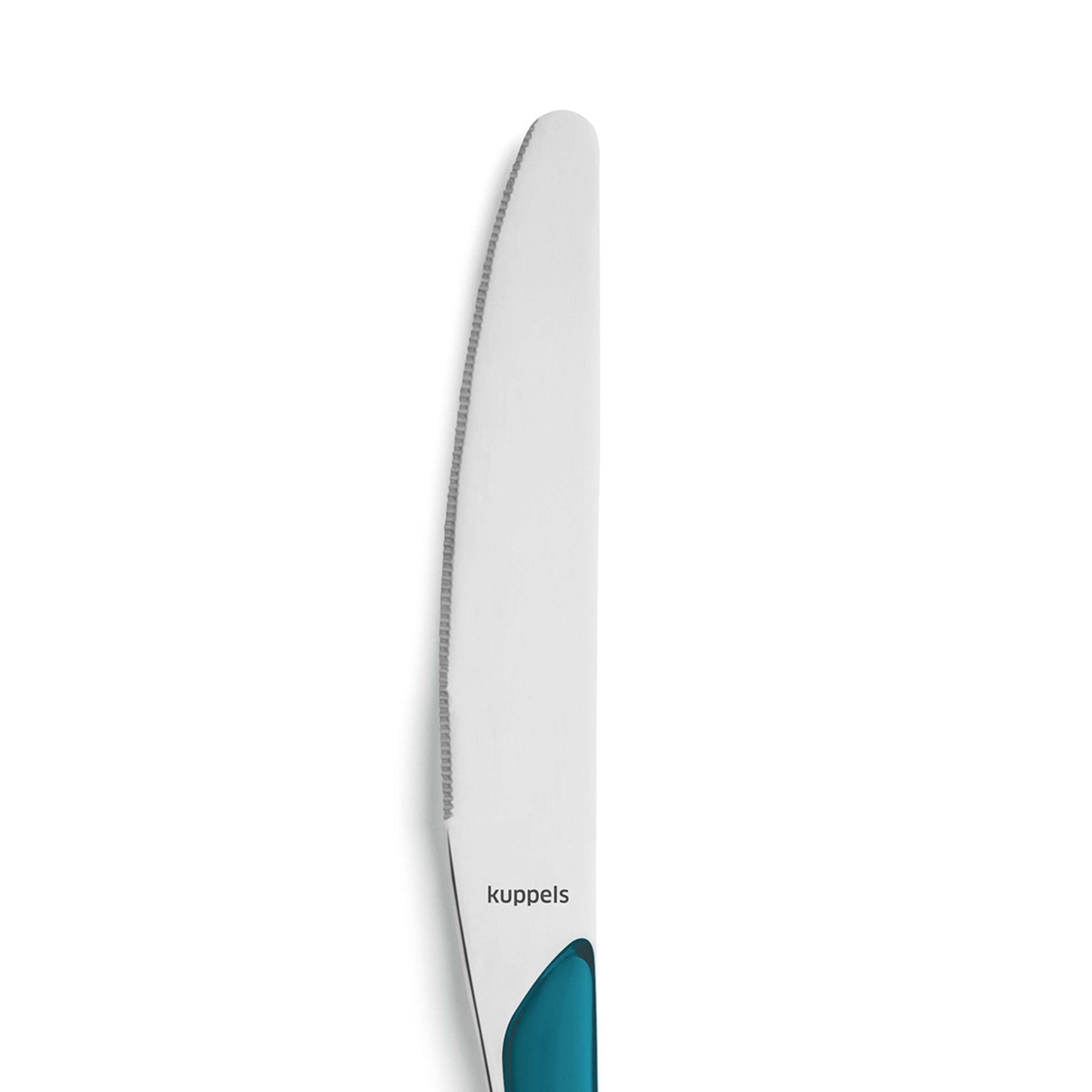 PRISMA Table Knife Full Handle petrol