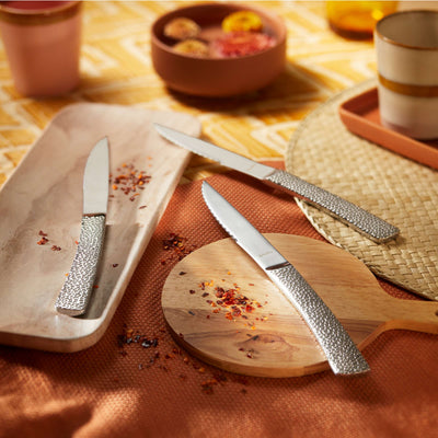 Amefa BONGO Steakmesser Set, 3-teilig, hochwertiges Messer-Set für saftige Steaks, mit ergonomischen Griffen und scharfer Klinge.