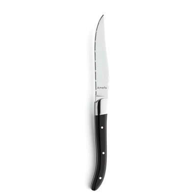 Amefa Royal Steak Messer Set aus 6 schwarzen Steakmessern mit eleganter Klinge und Griff, hochwertiges Besteck für Steakgenuss