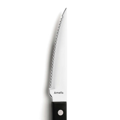 Schwarzes 6-teiliges Steakmesser-Set von Amefa, hochwertiges Besteck für Steak und Fleischgerichte, elegante Küchenaccessoires