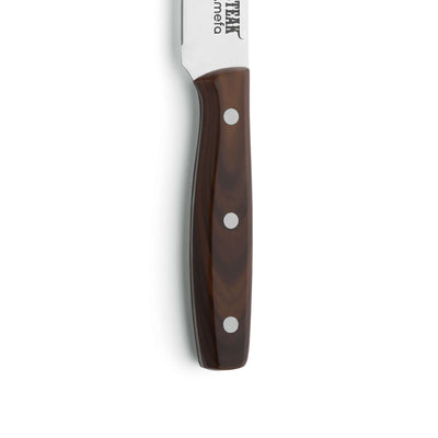 Amefa PORTERHOUSE Steakmesser Set mit zwei Messern aus Holz, scharfe Klingen und elegantes Design, ideal für Steak und Fleisch.