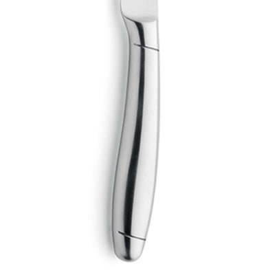 Amefa PRIME RIB Steakmesser Set, 2-teilig, hochwertiges Messerset mit scharfen Klingen und ergonomischen Griffen, perfekt für Steak.