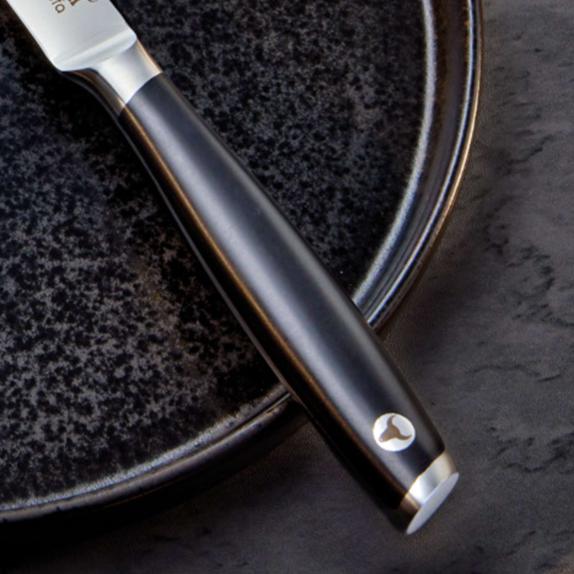 Schwarzes TENDERLOIN Steakmesser von Amefa mit Vollheft, scharfe Klinge und elegantes Design, auf einem Holztisch liegend