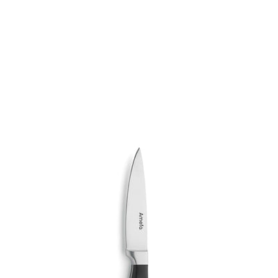 Premium Amefa Küchenmesser, scharfes Spickmesser mit ergonomischem Griff, perfekt zum Schneiden und Zubereiten in der Küche