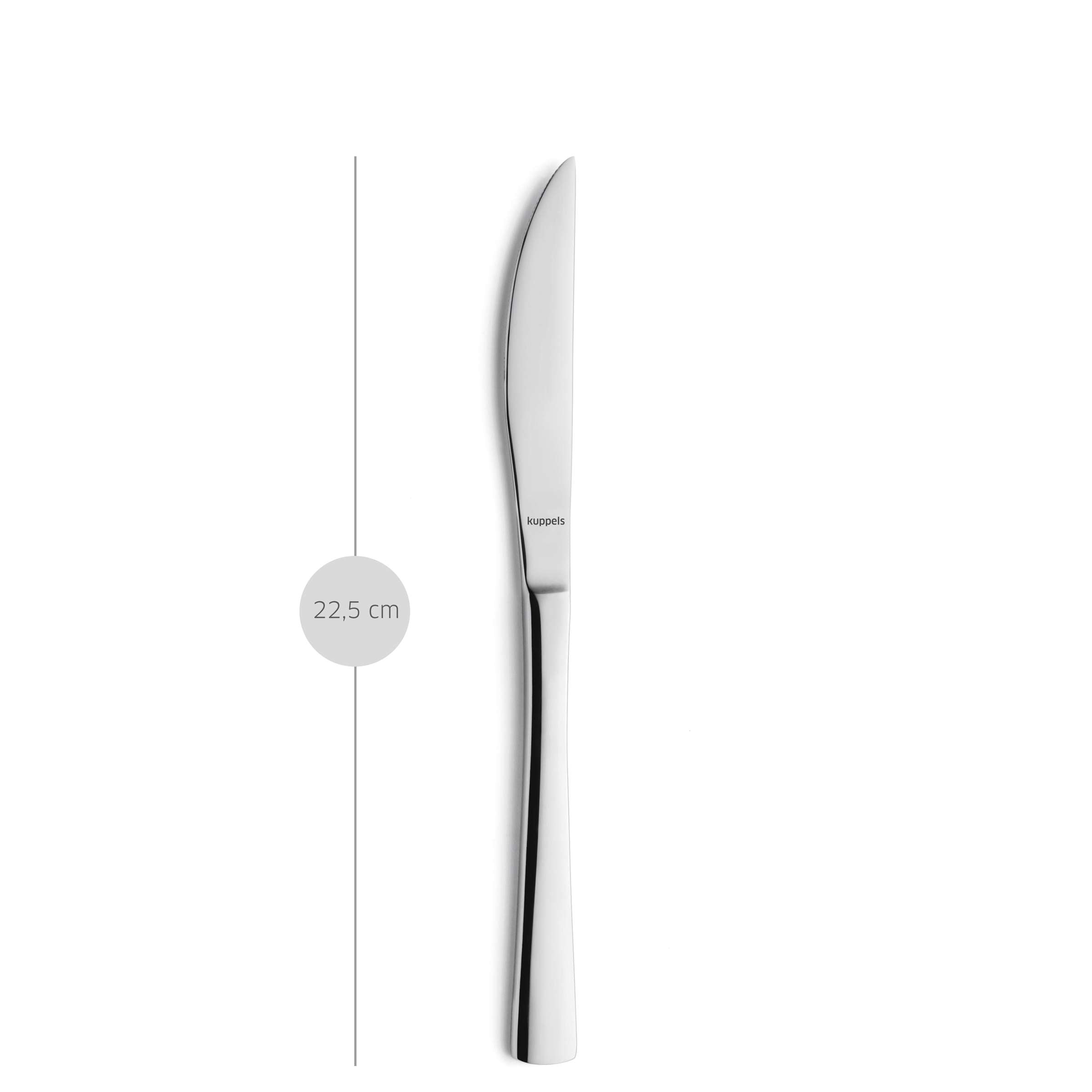 SELECTION Steakmesser Set 2-teilig