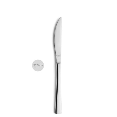 SELECTION Steakmesser Set 2-teilig