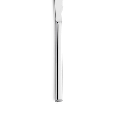 VIVENDI Steakmesser Vollheft von Paul Wirths, scharfes Messer mit Vollheft für perfekt sauberes Schneiden von Steak.