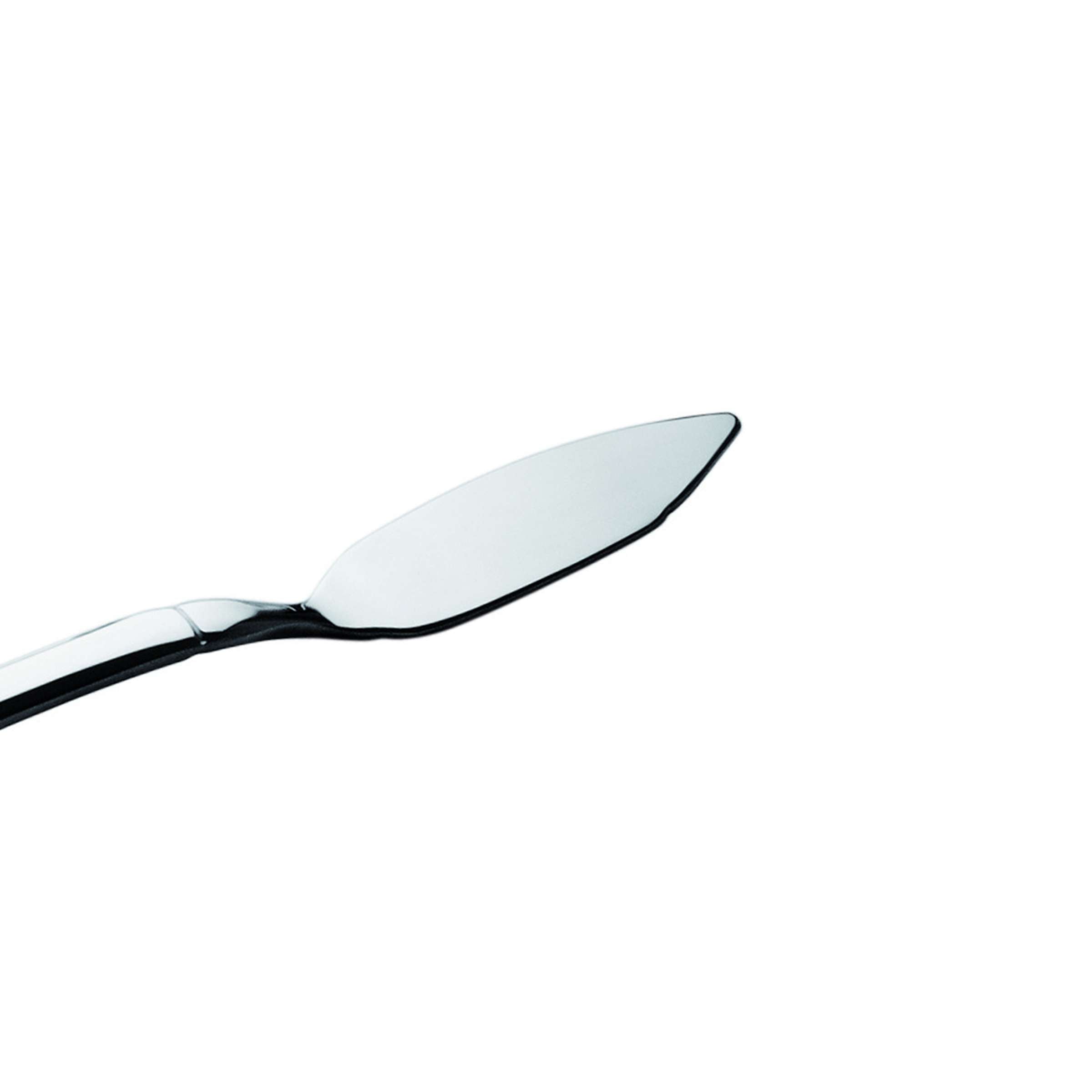 Mattiertes Bali Fischmesser von Paul Wirths, scharfes Küchenmesser mit ergonomischem Griff für Fischzubereitung